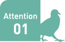 ホントは怖い、鳥のフン害