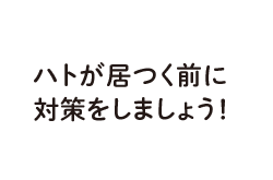 ハトが居つく前に対策しましょう！