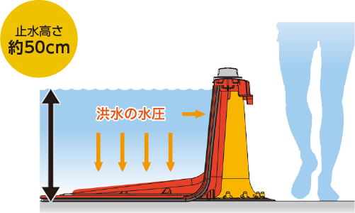 止水高さ50cm